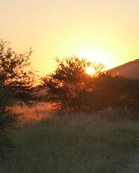 Neue Horizonte: namibischer Sonnenuntergang im Busch